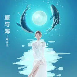 鲸与海