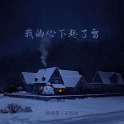 我的心下起了雪