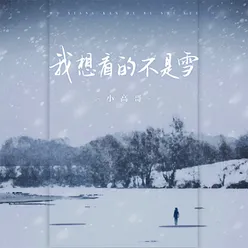 我想看的不是雪