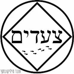 צעדים