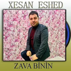 Zava Binin