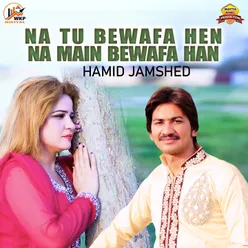 Na Tu Bewafa Hen Na Main Bewafa Han