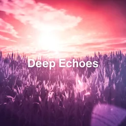 Deep Echoes