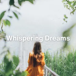 Whispering Universe