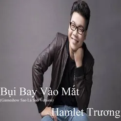 Bụi Bay Vào Mắt 2