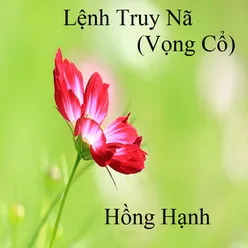 Mong Một Vòng Tay (Tân Cổ) 1