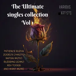 The Ultimate Singles Collection, Vol. 1