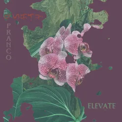 Elevate