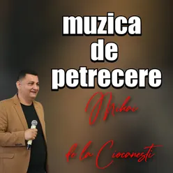 colaj muzica de petrecere , petrecere 2024 , muzica romaneasca de petrecere