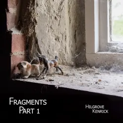 Fragments: Pt. 1