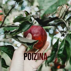 POIZINA