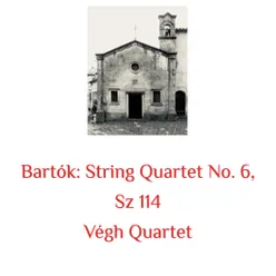 String Quartet No. 6, Sz 114 I. Mesto. Più mosso, pesante. Vivace