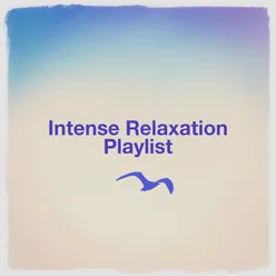 Intense Relaxation Playlist