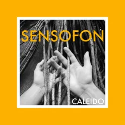 Sensofon