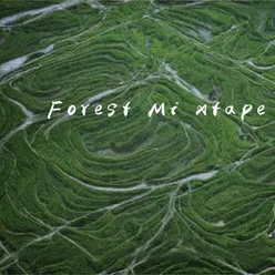 Forest Mi xtape（钢琴治愈纯音乐）