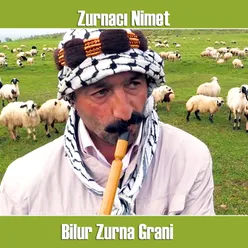 Bilur Zurna Grani