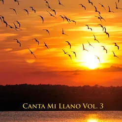 Canta Mi Llano Vol 3