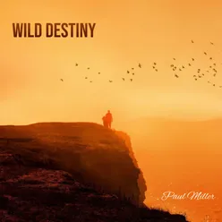 Wild Destiny