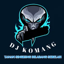 Tanam Singkong Diladang Sebelah Remix Instrumental