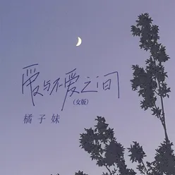 爱与不爱之间