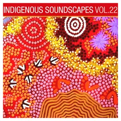 Indigenous Soundscapes, Vol. 22