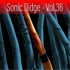 Sonic Didge, Vol. 36