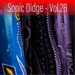 Sonic Didge, Vol. 28