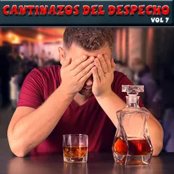 Cantinazos Del Despecho, Vol.7