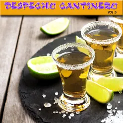 Despecho Cantinero, Vol.5