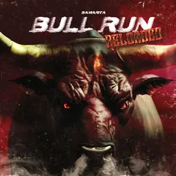 Bull Run Reloaded