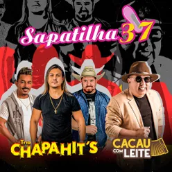 Sapatilha 37