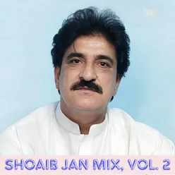 Shoaib Jan Mix, Vol. 2