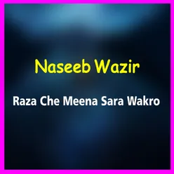 Raza Che Meena Sara Wakro