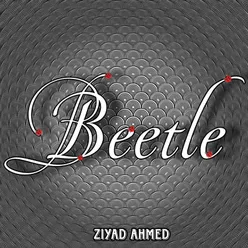 Beetle