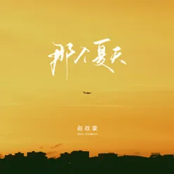 那个夏天