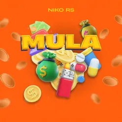 Mula