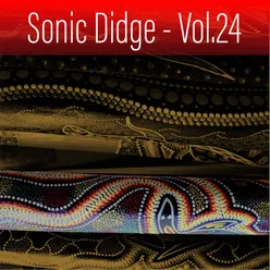 Sonic Didge, Vol. 24