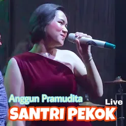 Santri Pekok