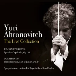 Symphony No. 5 in E Minor, Op. 64: I. Andante. Allegro con anima