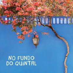 No fundo do quintal