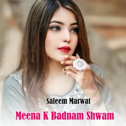 Meena K Badnam Shwam