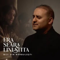 Era seara linistita