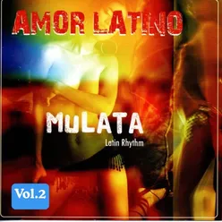 Amor Latino, Vol. 2