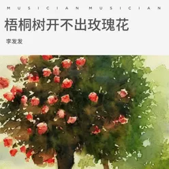 梧桐树开不出玫瑰花