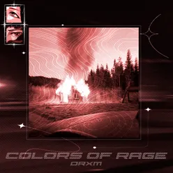 COLORS OF RAGE