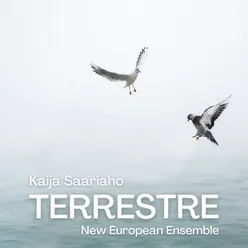 Terrestre