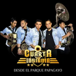 La boda del cuitlacoche / Los tlacololeros / La iguana / Son del torito