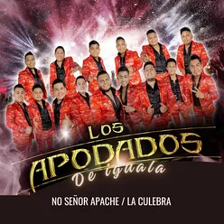No Señor Apache / La Culebra