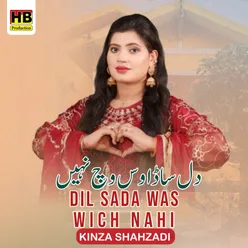 Dil Sada Was Wich Nahi