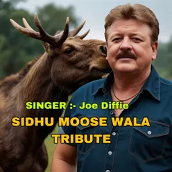 Sidhu Moose Wala Tribute